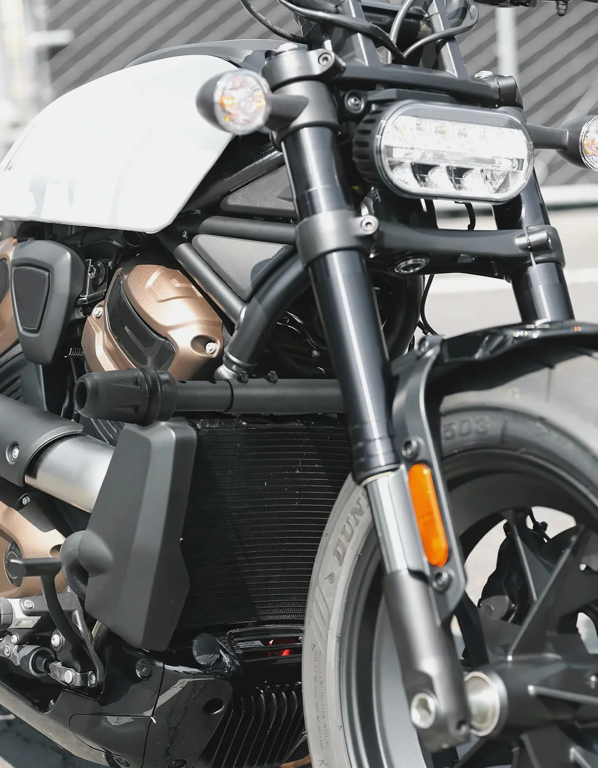 Engine Guard Front Crash Bars for Sportster S RH1250 - Image 2