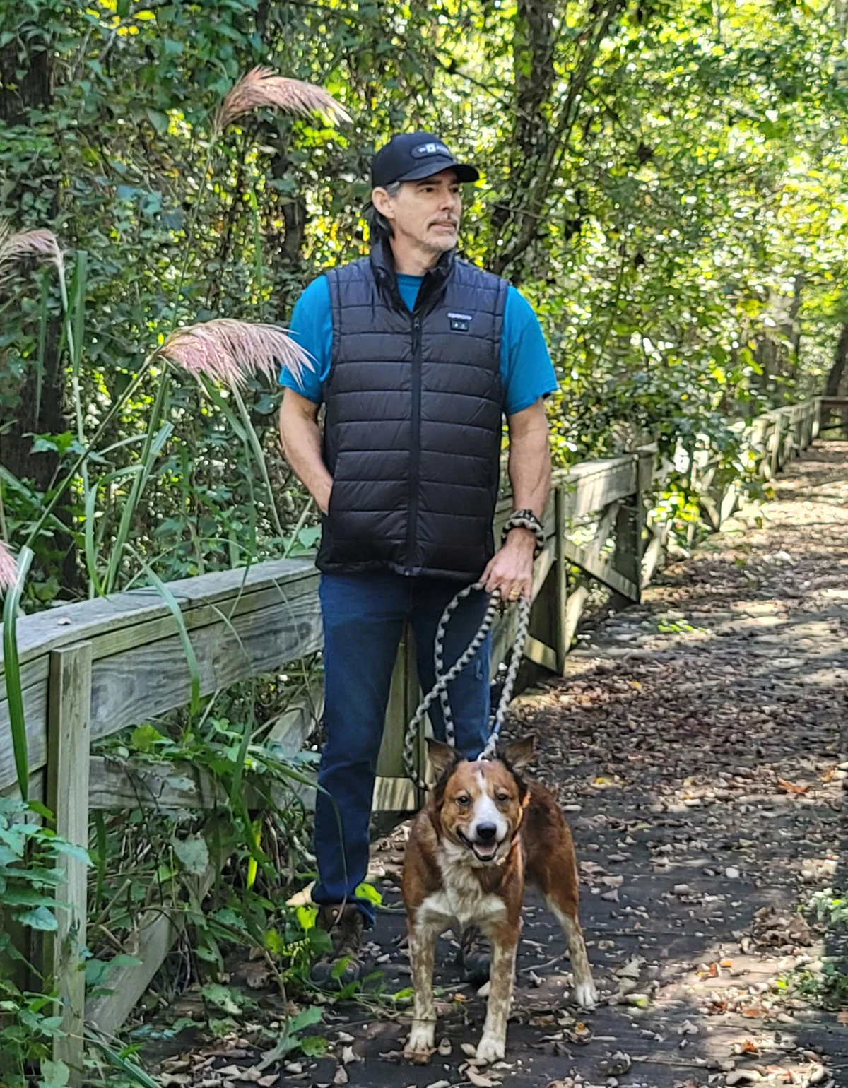 Heated Vest With Heated Hood - Black - Image 10
