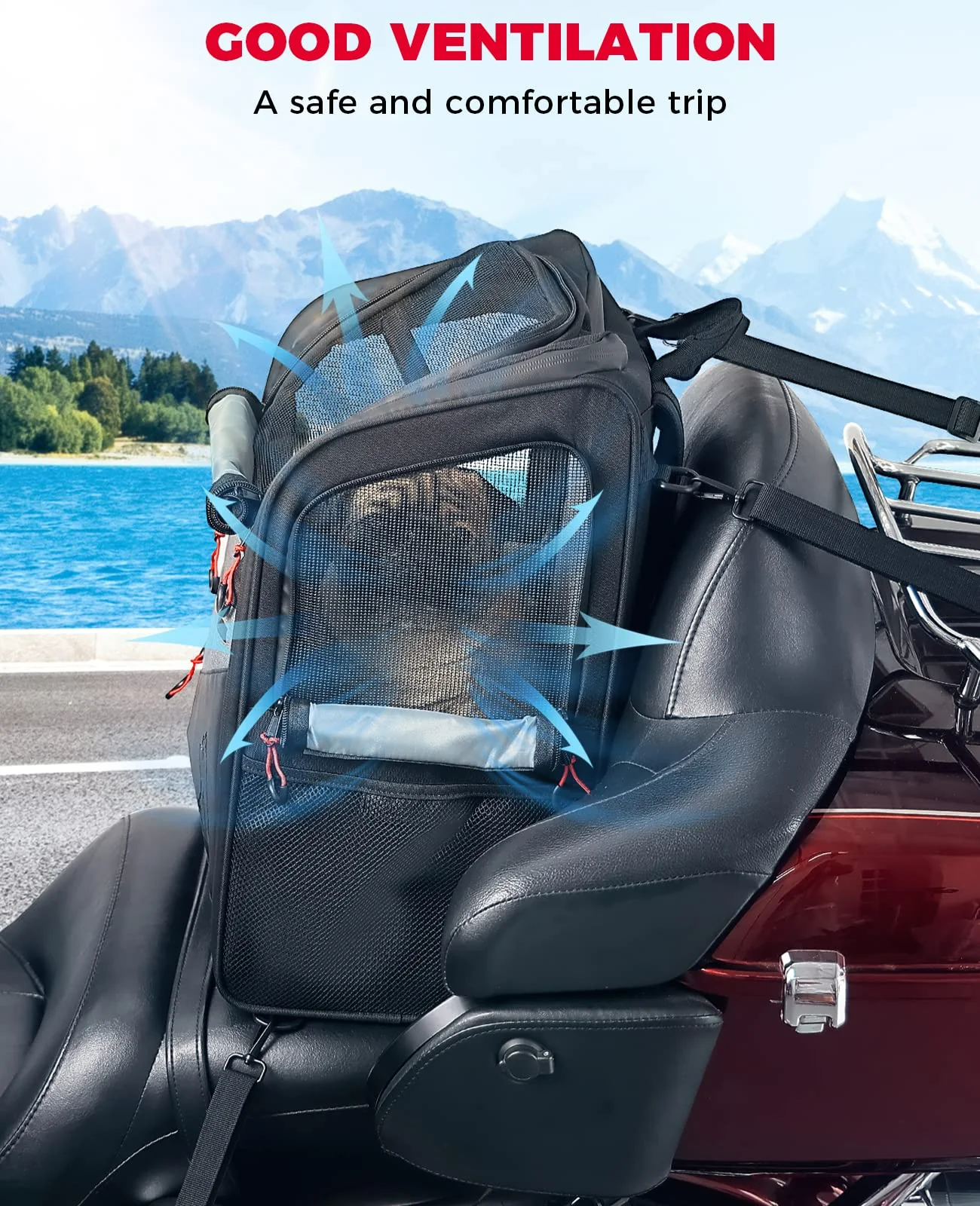 Motorcycle Dog/Cat Carrier Bags Portable Load Capacity 20lbs - Image 6