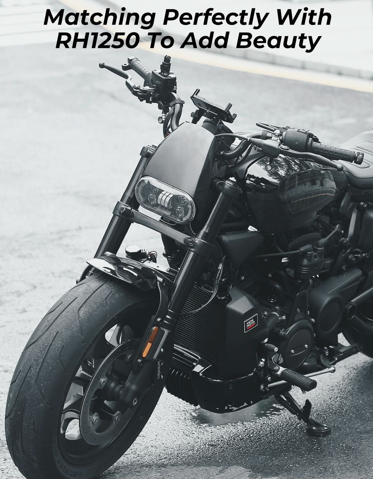 Motorcycle Fairing Kit for Sportster S 1250 - Image 2