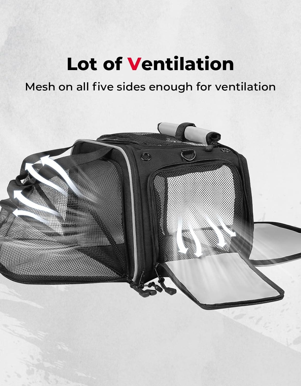 Pet Carrier for Motorcycle - Image 3
