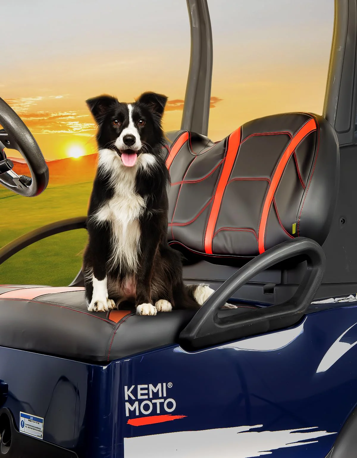 Seat Covers for Club Car Precedent, Tempo, Onward OEM - Image 7